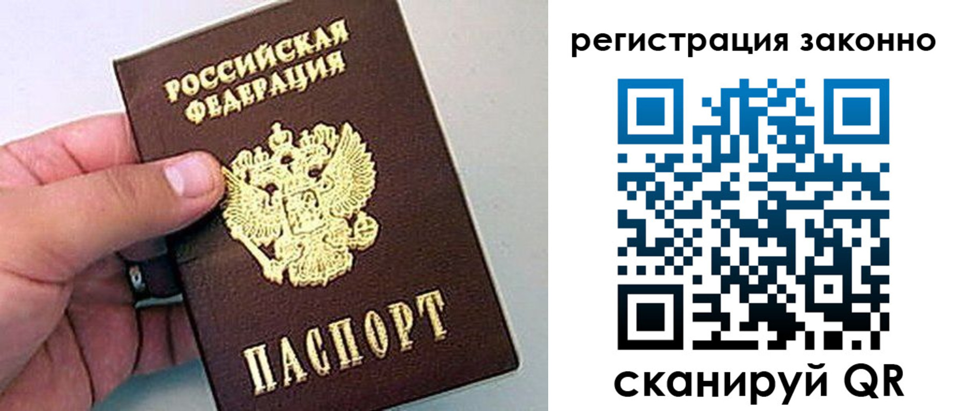 временная регистрация поиск в Краснознаменске